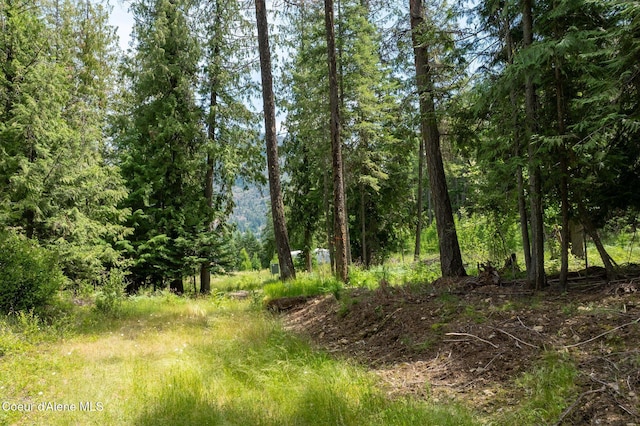 161 Finch Trl, Sandpoint, ID 83864 - photo 6
