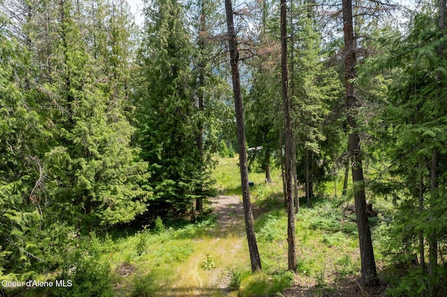 161 Finch Trl, Sandpoint, ID 83864 - photo 7