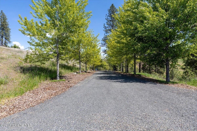 17323 N Lower Greenbluff Rd, Colbert, WA 99005 - photo 6