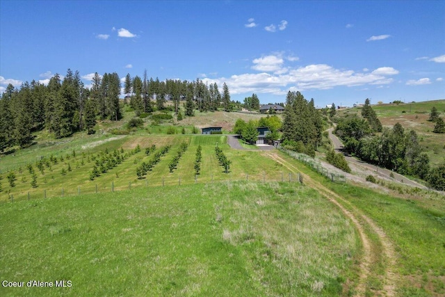 17323 N Lower Greenbluff Rd, Colbert, WA 99005 - photo 37