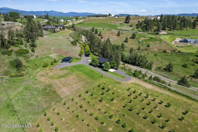 17323 N Lower Greenbluff Rd, Colbert, WA 99005 - photo 39