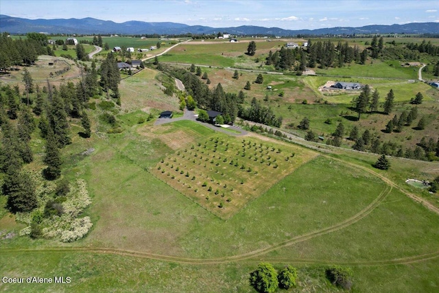 17323 N Lower Greenbluff Rd, Colbert, WA 99005 - photo 40