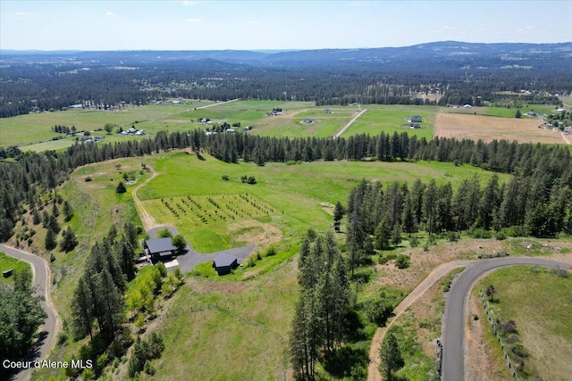 17323 N Lower Greenbluff Rd, Colbert, WA 99005 - photo 41