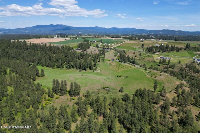 17323 N Lower Greenbluff Rd, Colbert, WA 99005 - photo 42