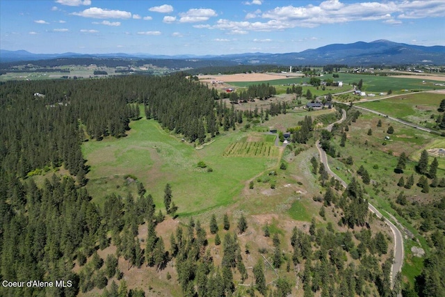 17323 N Lower Greenbluff Rd, Colbert, WA 99005 - photo 43