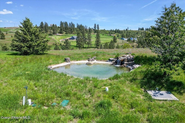 17323 N Lower Greenbluff Rd, Colbert, WA 99005 - photo 46