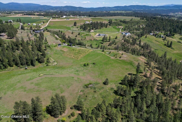 17323 N Lower Greenbluff Rd, Colbert, WA 99005 - photo 48