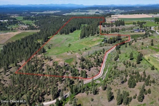 17323 N Lower Greenbluff Rd, Colbert, WA 99005 - photo 50