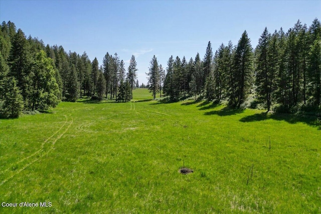 17323 N Lower Greenbluff Rd, Colbert, WA 99005 - photo 51