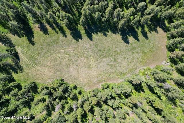 17323 N Lower Greenbluff Rd, Colbert, WA 99005 - photo 54