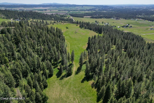 17323 N Lower Greenbluff Rd, Colbert, WA 99005 - photo 55