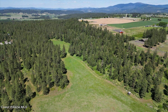 17323 N Lower Greenbluff Rd, Colbert, WA 99005 - photo 56