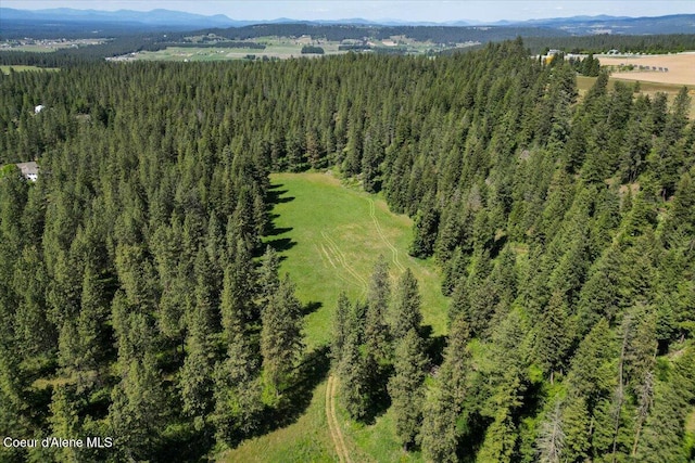 17323 N Lower Greenbluff Rd, Colbert, WA 99005 - photo 57