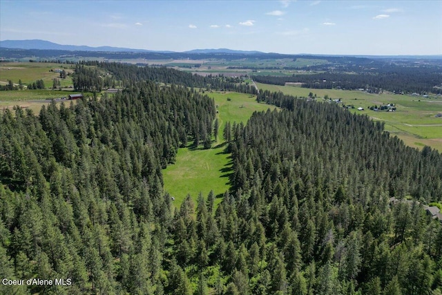 17323 N Lower Greenbluff Rd, Colbert, WA 99005 - photo 58