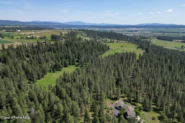 17323 N Lower Greenbluff Rd, Colbert, WA 99005 - photo 60