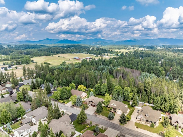 12608 N Shamrock St, Hayden, ID 83835 - aerial view of residential area with mountains and a forest