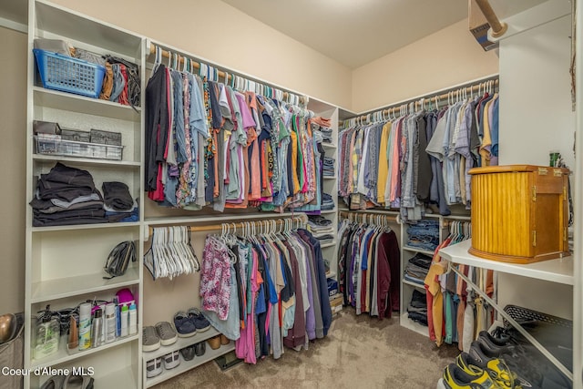 12608 N Shamrock St, Hayden, ID 83835 - walk in closet featuring carpet floors