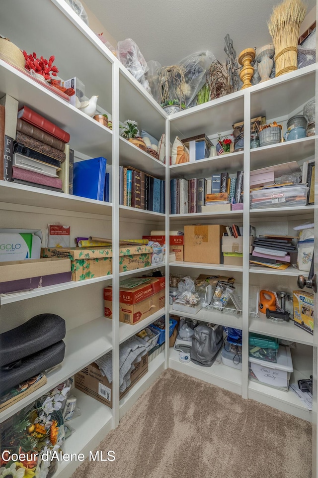 12608 N Shamrock St, Hayden, ID 83835 - view of storage area