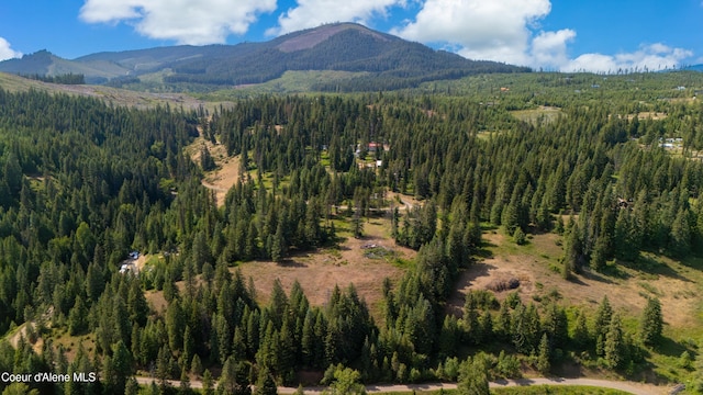 TRACT21 Ryan Loop, Saint Maries, ID 83861 - photo 4
