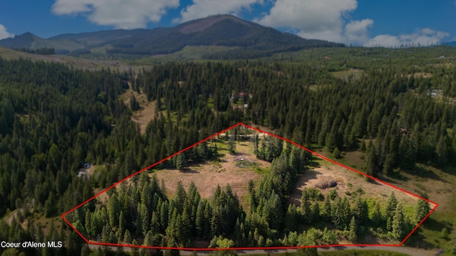 TRACT21 Ryan Loop, Saint Maries, ID 83861 - photo 3
