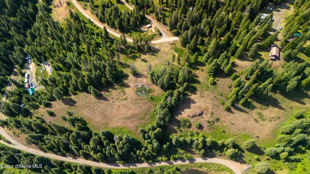 TRACT21 Ryan Loop, Saint Maries, ID 83861 - photo 5