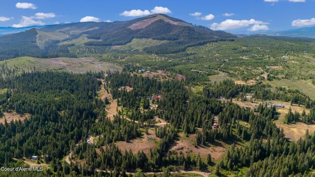 TRACT21 Ryan Loop, Saint Maries, ID 83861 - photo 7