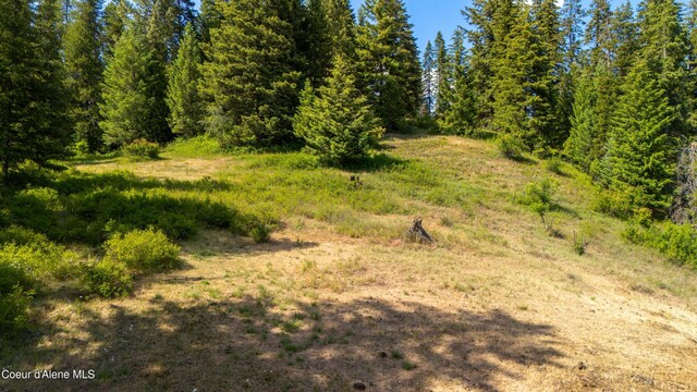 TRACT21 Ryan Loop, Saint Maries, ID 83861 - photo 13