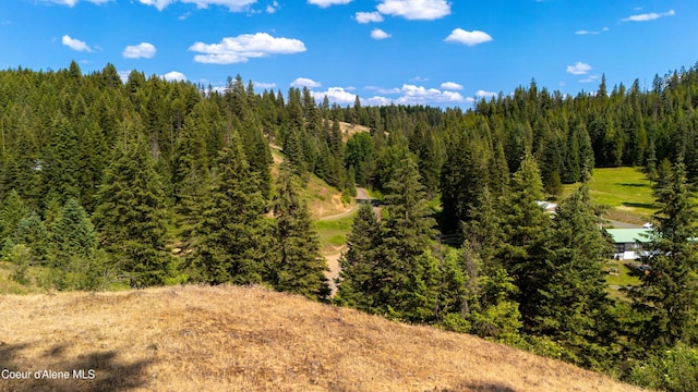 TRACT21 Ryan Loop, Saint Maries, ID 83861 - photo 14