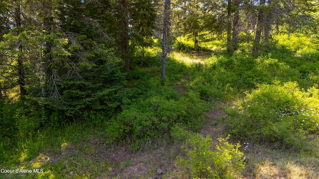 TRACT21 Ryan Loop, Saint Maries, ID 83861 - photo 15