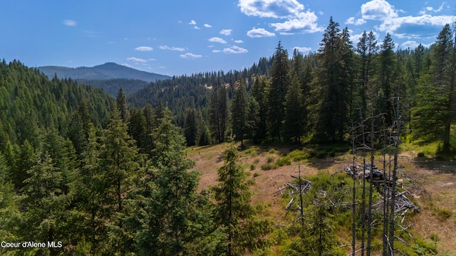 TRACT21 Ryan Loop, Saint Maries, ID 83861 - photo 16
