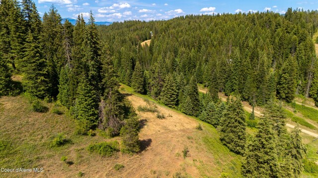TRACT21 Ryan Loop, Saint Maries, ID 83861 - photo 17
