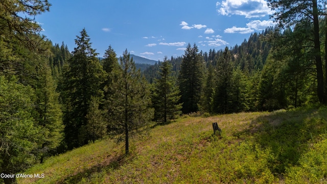TRACT21 Ryan Loop, Saint Maries, ID 83861 - photo 19