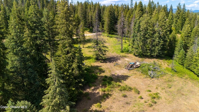 TRACT21 Ryan Loop, Saint Maries, ID 83861 - photo 1