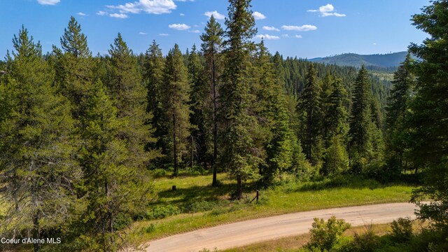 TRACT21 Ryan Loop, Saint Maries, ID 83861 - photo 2