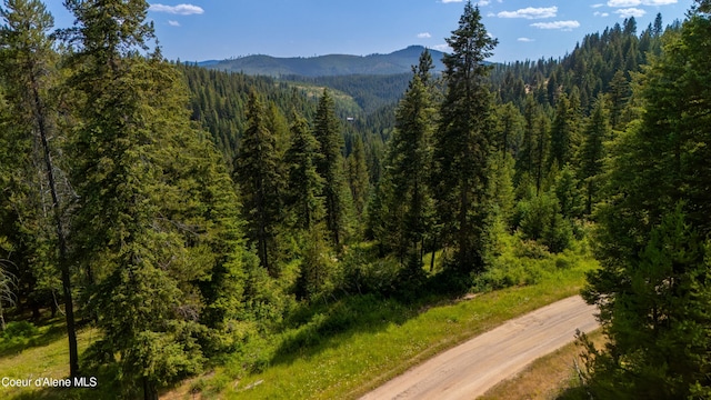 TRACT21 Ryan Loop, Saint Maries, ID 83861 - photo 20