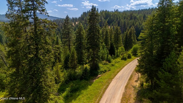 TRACT21 Ryan Loop, Saint Maries, ID 83861 - photo 21