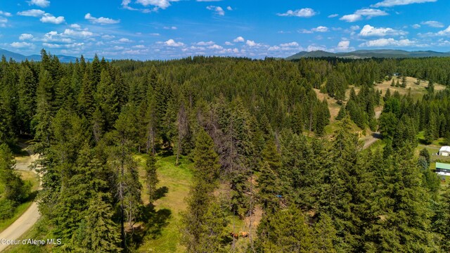 TRACT21 Ryan Loop, Saint Maries, ID 83861 - photo 22