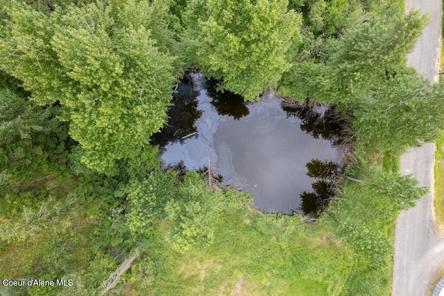 1875 S Gateway Ranch Rd, Coeur Dalene, ID 83814 - drone / aerial view of a large body of water