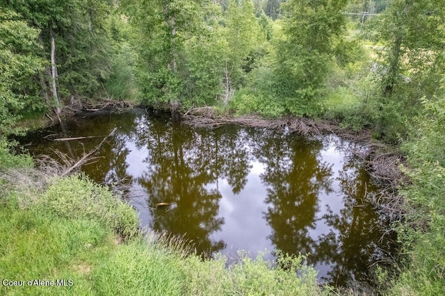 1875 S Gateway Ranch Rd, Coeur Dalene, ID 83814 - water view with a heavily wooded area