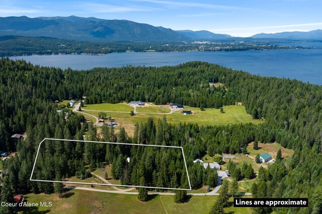 667 Spades Rd, Sagle, ID 83860 - photo 4