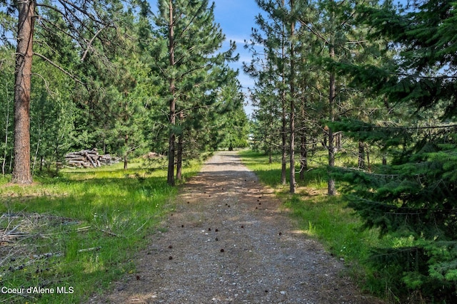 667 Spades Rd, Sagle, ID 83860 - photo 57