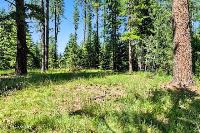 667 Spades Rd, Sagle, ID 83860 - photo 52
