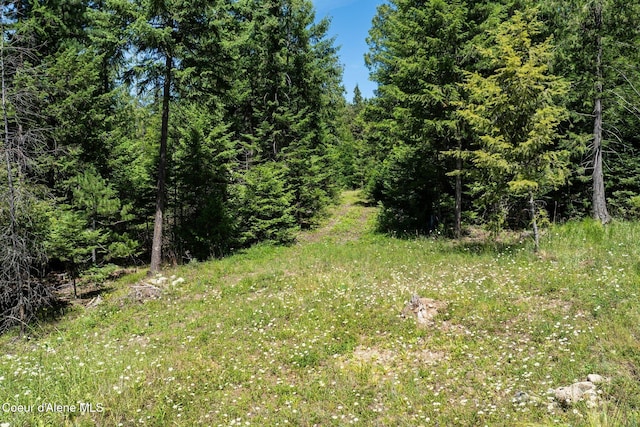 4127 Sagle Rd, Sagle, ID 83860 - view of woods