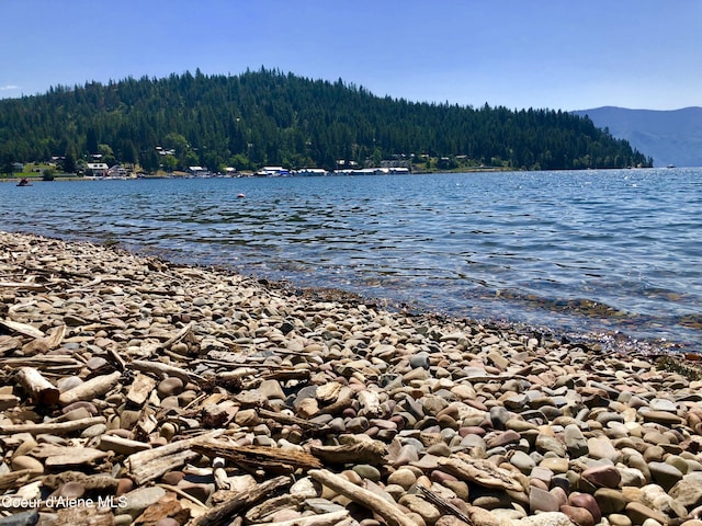 4127 Sagle Rd, Sagle, ID 83860 - water view featuring a forest and a mountain backdrop