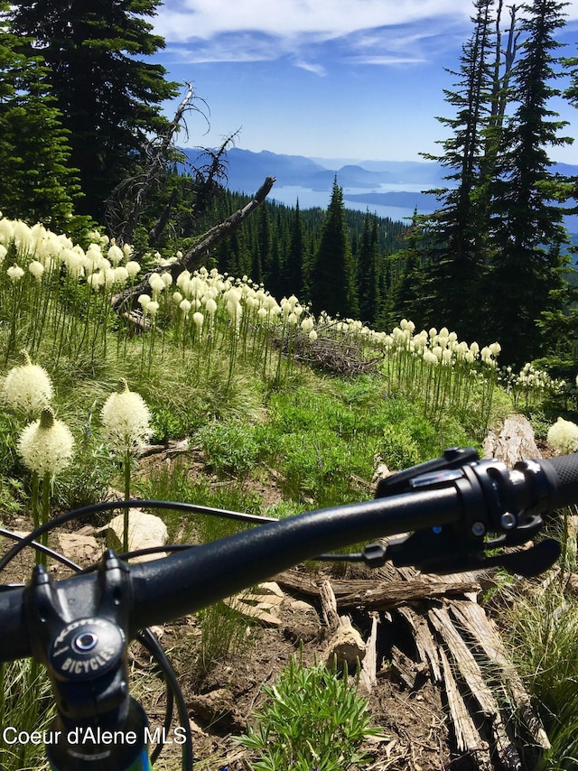4127 Sagle Rd, Sagle, ID 83860 - view of mountain backdrop featuring a forest