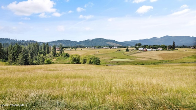 5143 W Crazy Creek Rd, Coeur Dalene, ID 83814 - view of mountain background