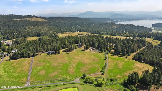 5143 W Crazy Creek Rd, Coeur Dalene, ID 83814 - drone / aerial view of a forest and a water and mountain view