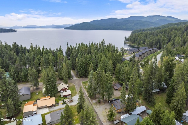 118 Timber Ln, Nordman, ID 83848 - photo 5