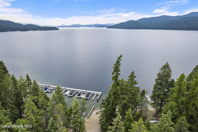 118 Timber Ln, Nordman, ID 83848 - photo 48