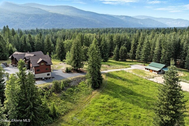 968 Hidden Valley Rd, Sandpoint, ID 83864 - photo 55